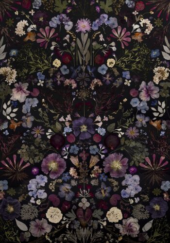 First27803 Last27803-Symetria botaniczna-Giclee