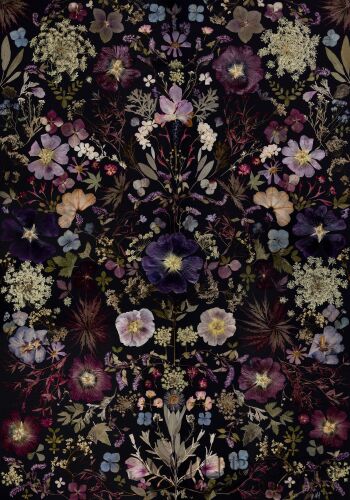 First27803 Last27803-Symetria kwiatowa-Giclee