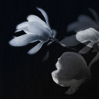 First31563 Last31563-krajobraz940-Giclee