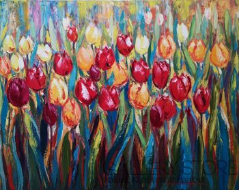 First34875 Last34875-Tulipany Erosa-Olej