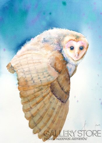 First26826 Last26826-BARN OWL. PŁOMYKÓWKA 2019.070-Akwarela