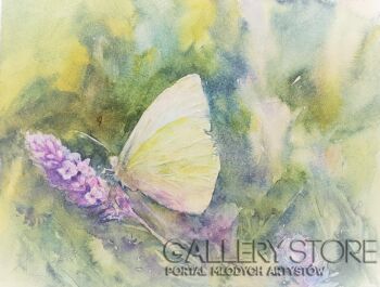 First26826 Last26826-BUTTERFLY AND LAVENDER  2018.057 -Akwarela