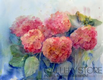 First26826 Last26826-HYDRANGEAS-Akwarela