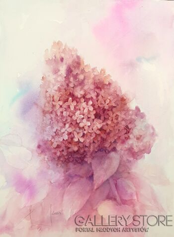 First26826 Last26826-MAGICAL SWEET SUMMER. PINK HYDRANGEA 2021.001-Akwarela