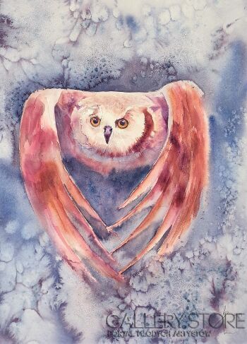 First26826 Last26826-OWL IN SNOW 2019.008-Akwarela