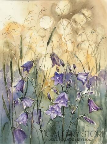 First32907 Last32907-Campanula-Akwarela