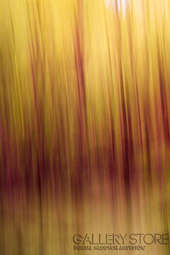 First31427 Last31427-abstract vol.1-Fotografia