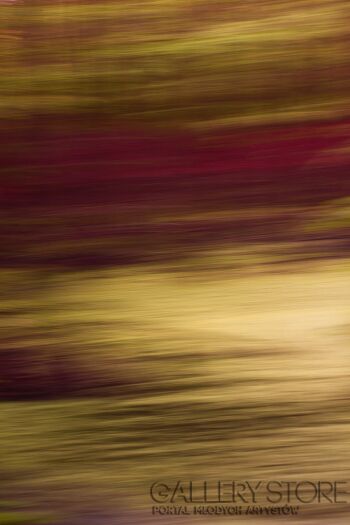 First31427 Last31427-abstract vol.2-Fotografia