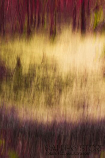 First31427 Last31427-abstract vol.3-Fotografia
