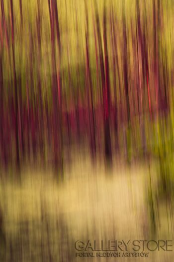 First31427 Last31427-abstract vol.4-Fotografia