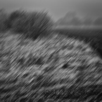 First31427 Last31427-I have a dream vol.1-Fotografia