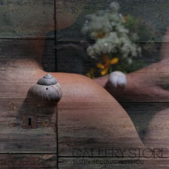 First27778 Last27778-Inne 3-Fotografia