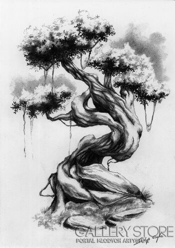 First40791 Last40791-Bonsai-Rysunek