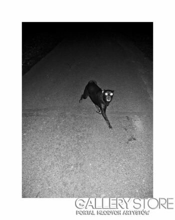First121 Last121-(Untitled)-Fotografia