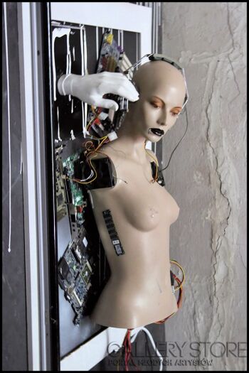 First25832 Last25832-Lost in Network - Obraz sieci-Instalacje
