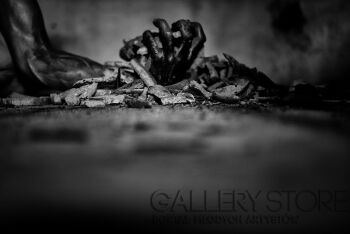 First25986 Last25986-bread of life-Fotografia