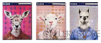 First26834 Last26834-Facelook-Akryl