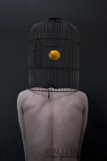 First27185 Last27185-Yellow Mind-Fotografia