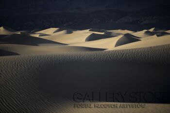 First27321 Last27321-Sand Dunes Mesquite-Fotografia