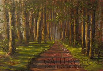First29660 Last29660-The forest walk -Olej
