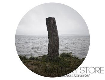 First3236 Last3236-Skrawki-Fotografia