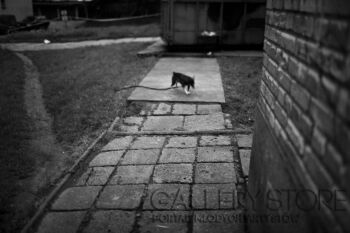 First859 Last859-Awaryjniak-Fotografia