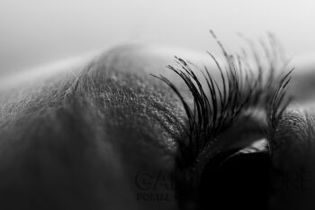 First859 Last859-Zagajnik-Fotografia