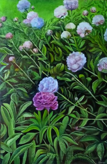First32878 Last32878-Flowers-Olej