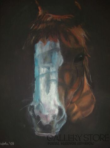 First32878 Last32878-Horse-Rysunek