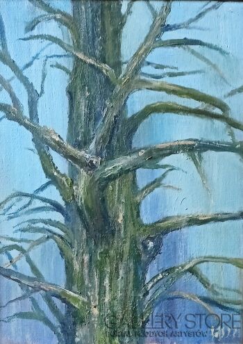 First32878 Last32878-Tree-Olej
