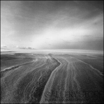 First34492 Last34492-Windy-Fotografia