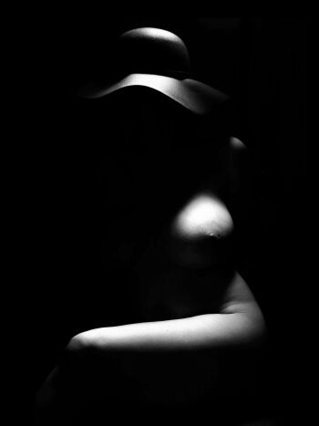 First38303 Last38303-Nocne kwiaty-Fotografia