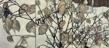 First37047 Last37047-LUNARIA-Olej