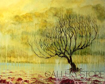 First32341 Last32341-Tree-Olej