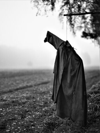 First40526 Last40526-Scarecrow #1-Fotografia