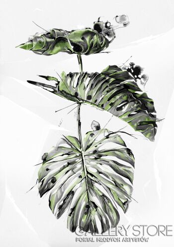First38217 Last38217-Monstera B-Giclee