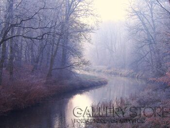 First38082 Last38082-Jesień nad kanałem / fotografia-Fotografia