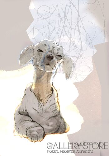 First231 Last231-Myśliciel, 3/50, 70x100cm-Giclee