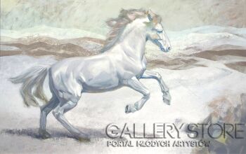 First231 Last231-Splendor-Akryl