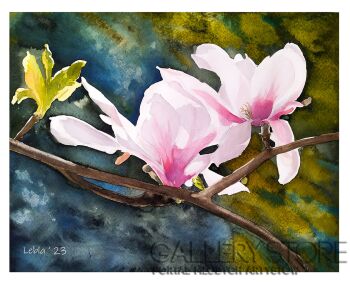 First40380 Last40380-,,Co tu kombinować , po prostu magnolia''.                          -Akwarela