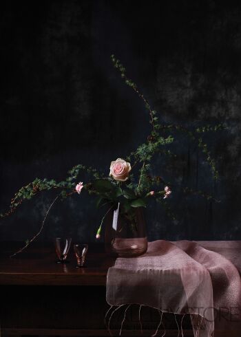First29432 Last29432-Still Life / Flowers no1-Fotografia