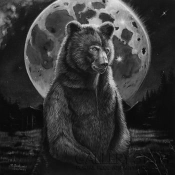 First28390 Last28390-Ursa Maior-Akryl