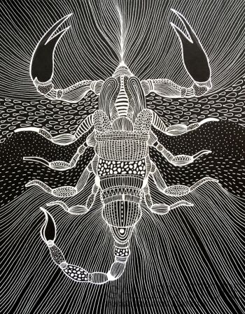 First34203 Last34203-Znaki zodiaku- Skorpion-Rysunek