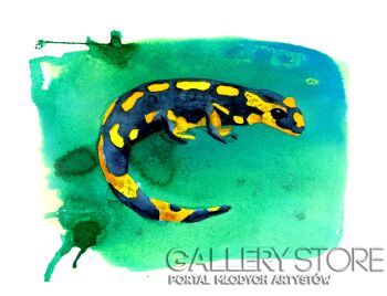 First32170 Last32170-Salamandra-Akwarela