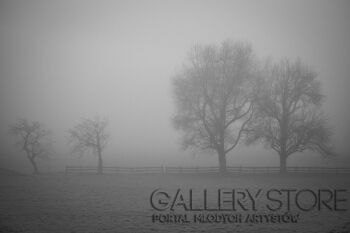 First32692 Last32692-Tajemnica-Fotografia