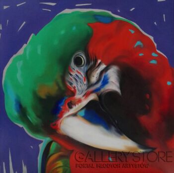 First30472 Last30472-Glam pop parrot-Olej