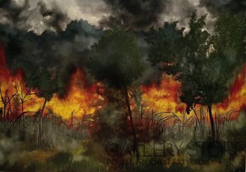 First28608 Last28608-MODERN VISION OF WAR-Olej