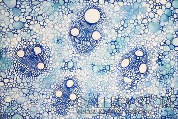 First28608 Last28608-PLANT CELLS-Akryl