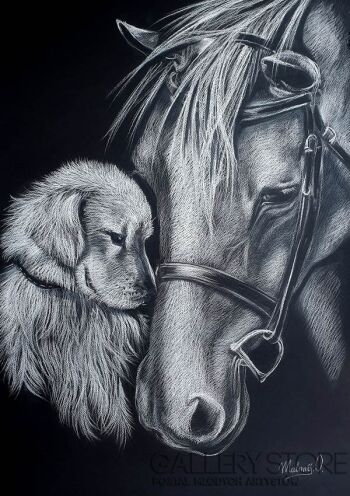 First38471 Last38471-Friendship-Rysunek