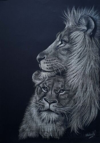 First38471 Last38471-A pair of Lions -Rysunek